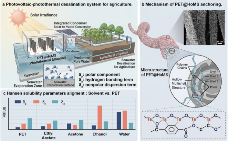 Chinese Team Develops 'Polymer Lock' Material That Boosts Solar Desalination Efficiency 8.5×