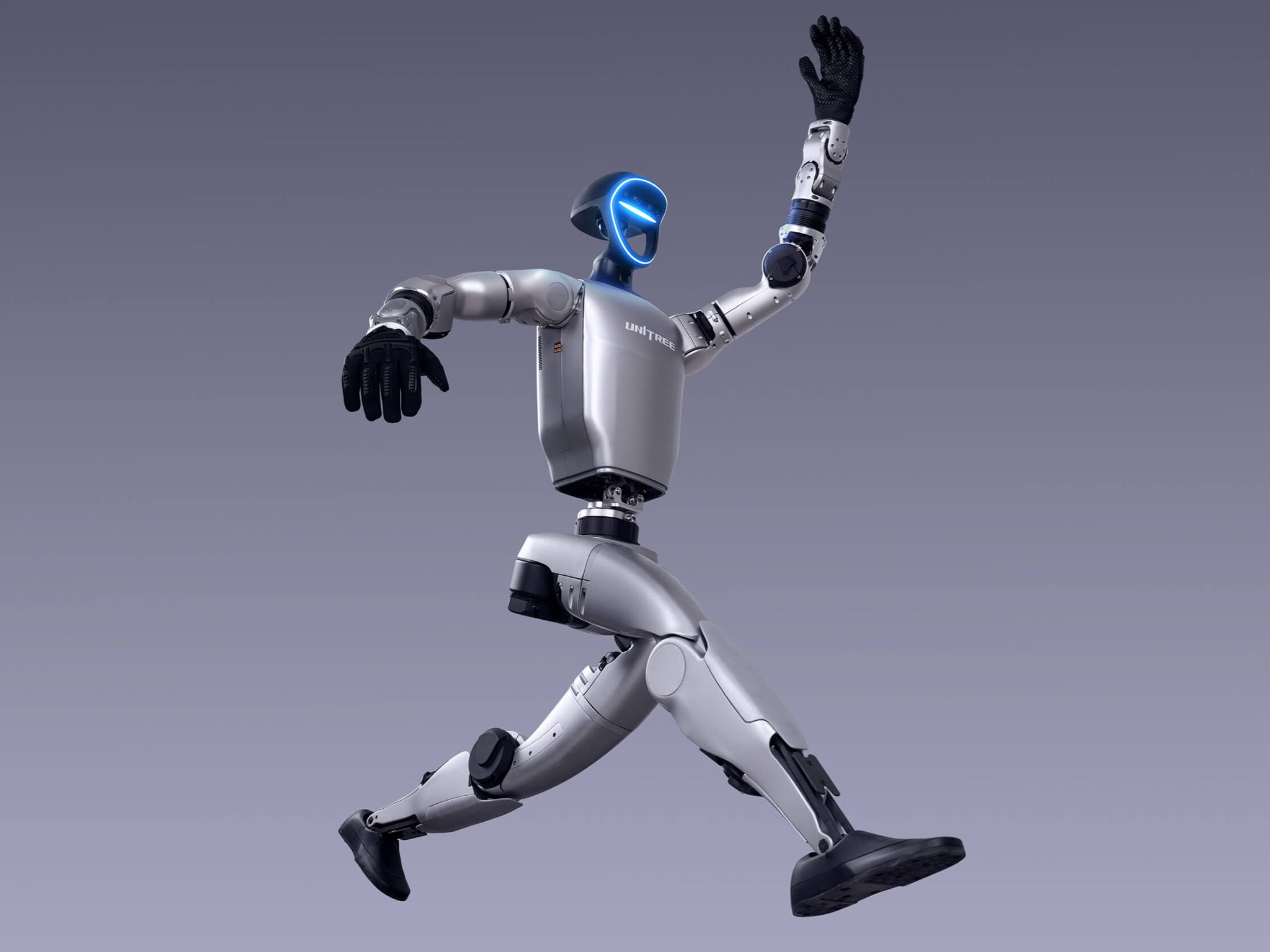 Morgan Stanley humanoid robot forecast